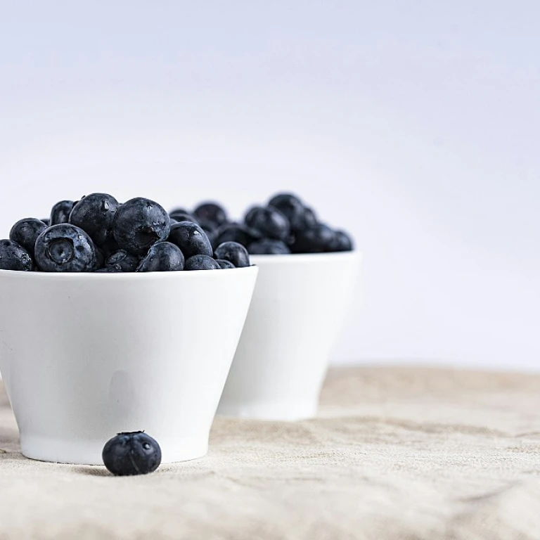 Salade de lentilles : un trésor de saveurs et de bienfaits