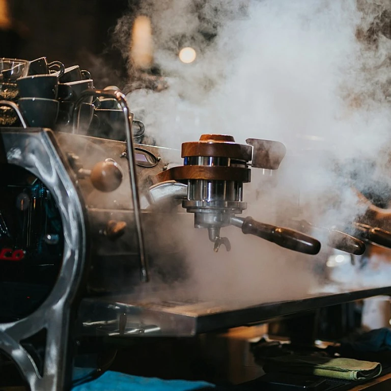 Paris nomade : découvrir la cuisine nomade dans la capitale française